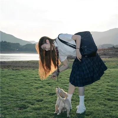 间谍过家家第二季